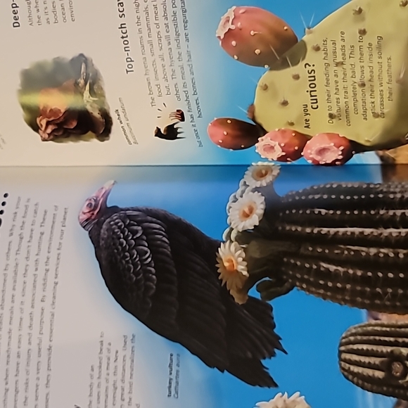 So Many Ways to Eat Book - Picture 3 of 3